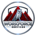 logo transparente workforce